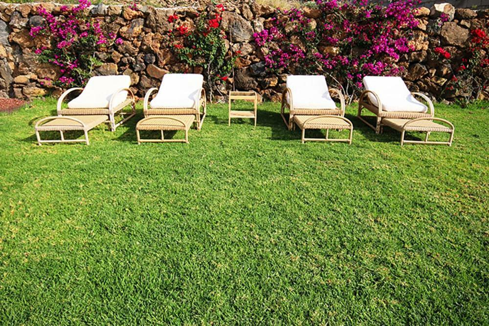 Villa Albe, Jacuzzi Con Vistas Al Mar Arona (Tenerife) Exterior foto